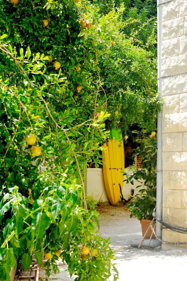 Cozy Apartment By The Sea Haifa Exteriér fotografie